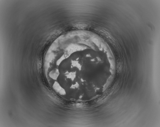 X0000111160365200907281158
