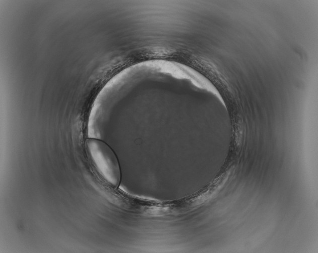 X0000111160366200907281158