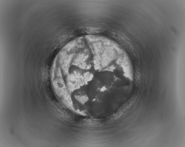 X0000111160367200907281158