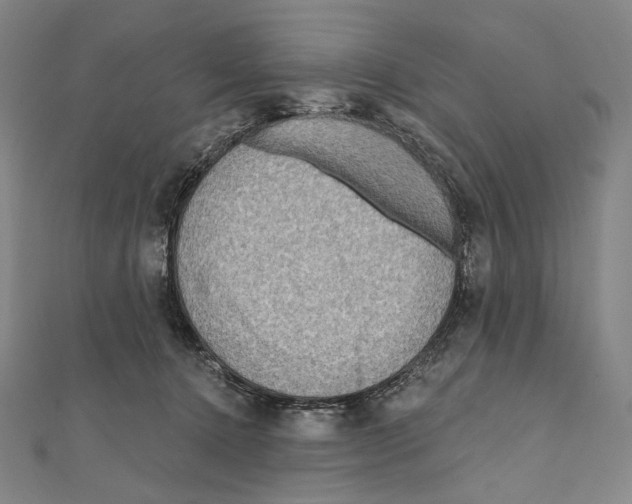 X0000111160368200907281158