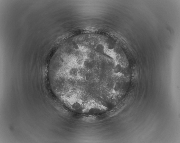 X0000111160369200907281158