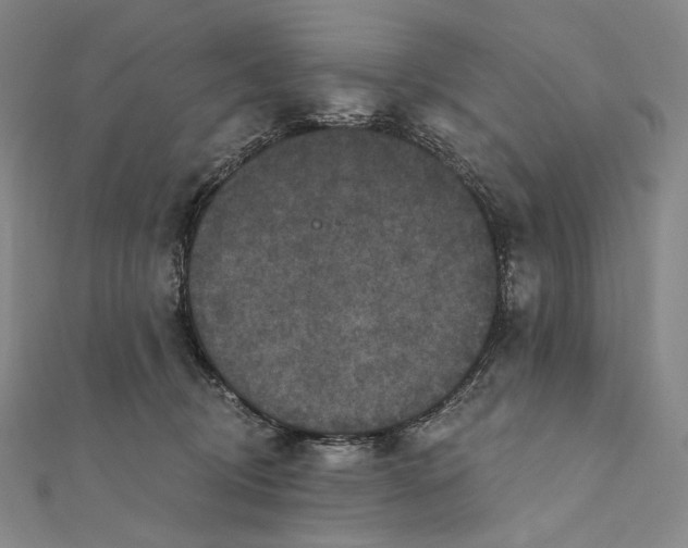 X0000111160370200907281158