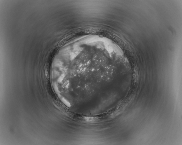 X0000111160371200907281158