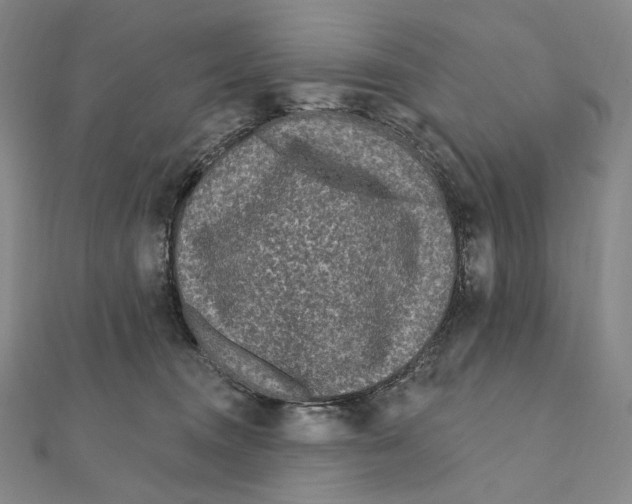 X0000111160372200907281158