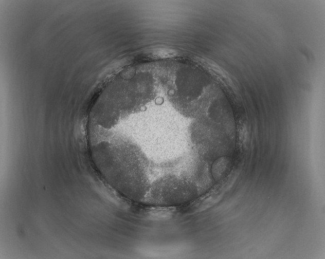 X0000111160373200907281158