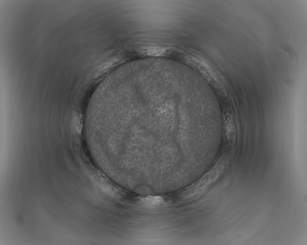 X0000111160374200907281158