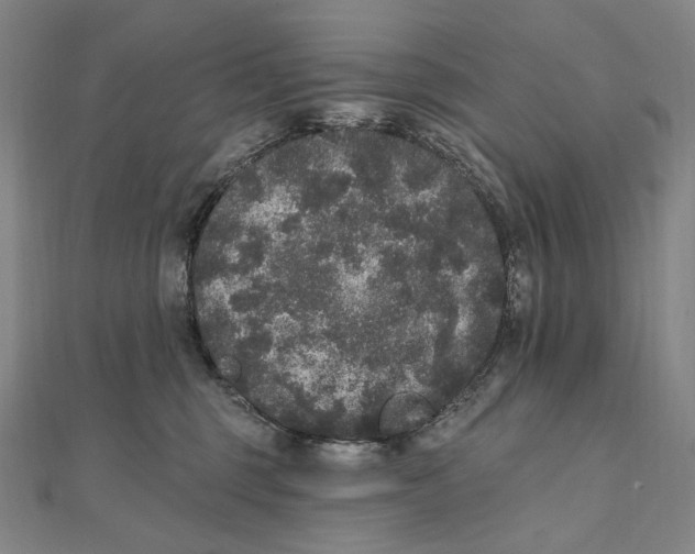 X0000111160375200907281158
