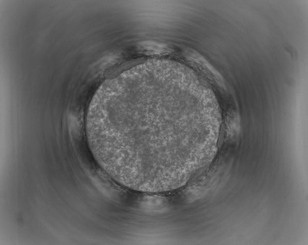 X0000111160376200907281158