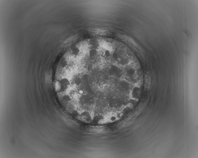 X0000111160377200907281158