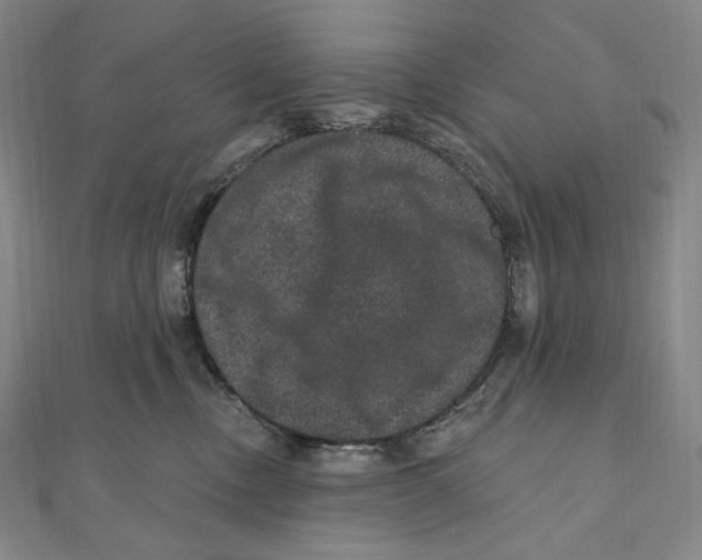 X0000111160378200907281158