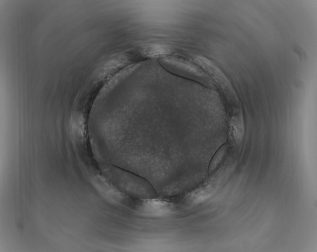 X0000111160380200907281158