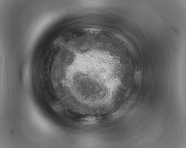 X0000111160381200907281158
