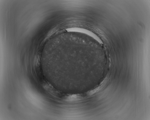 X0000111160382200907281158