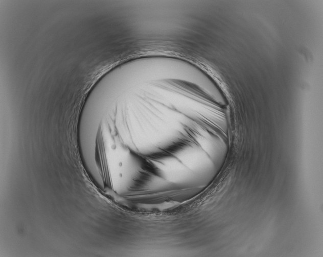 X0000111160385200907281157