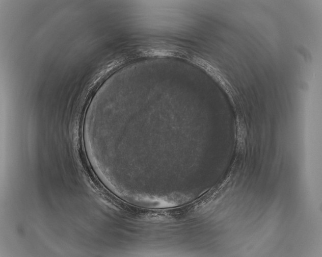X0000111160386200907281157