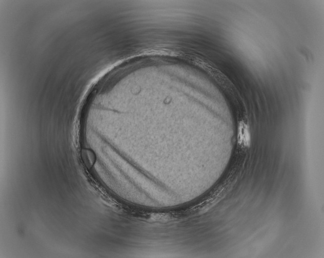X0000111160388200907281157