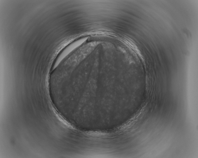 X0000111160389200907281157