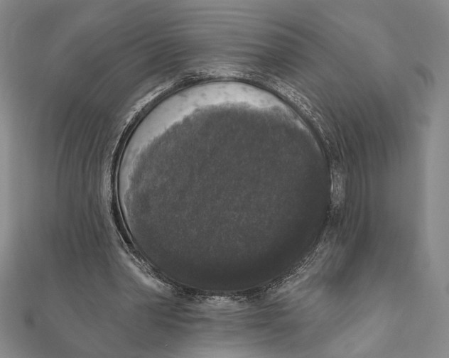 X0000111160390200907281157