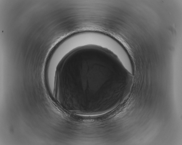 X0000111160391200907281157