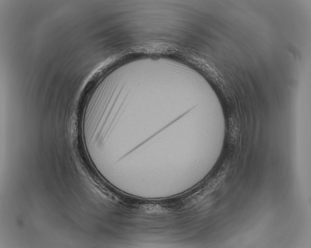 X0000111160392200907281157