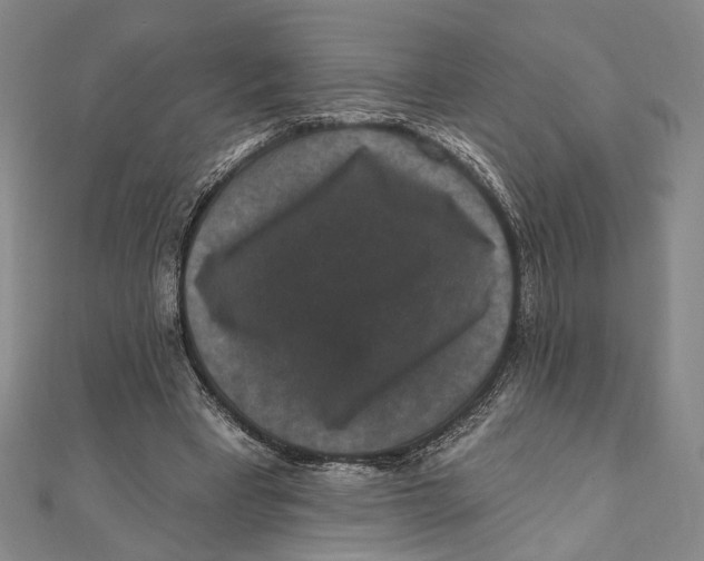 X0000111160393200907281157