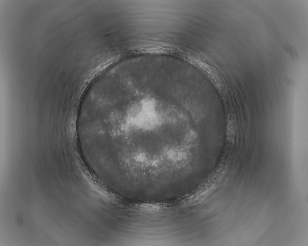 X0000111160394200907281157