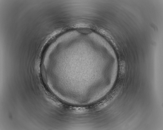 X0000111160395200907281157