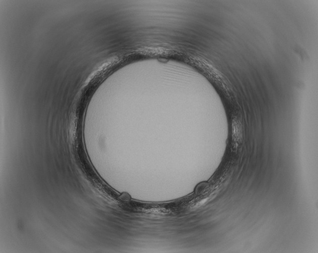 X0000111160396200907281157
