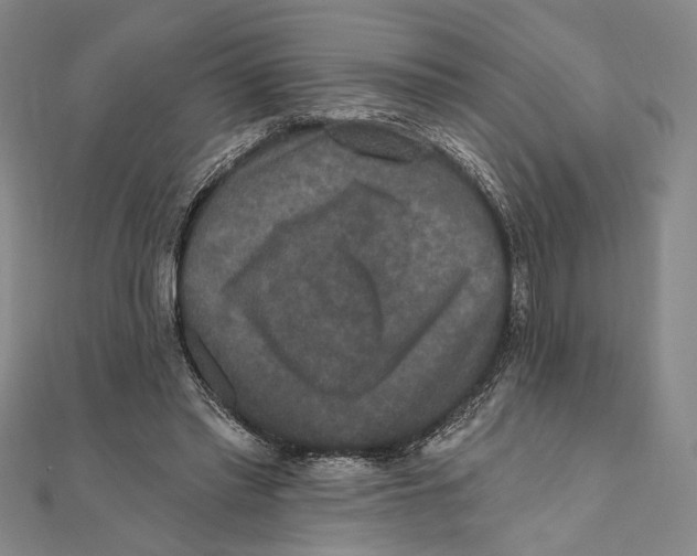 X0000111160397200907281157