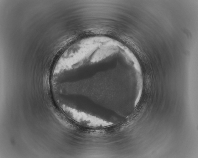 X0000111160398200907281157