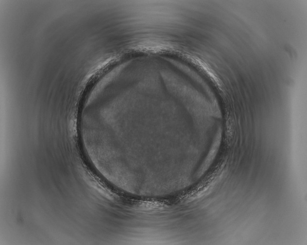 X0000111160399200907281157