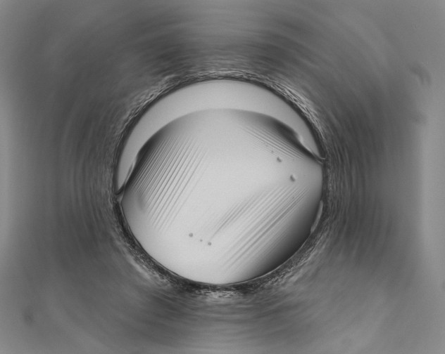 X0000111160401200907281157