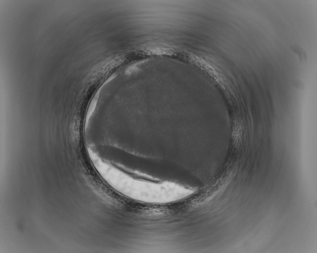 X0000111160402200907281157