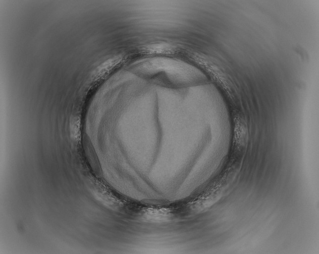 X0000111160403200907281157