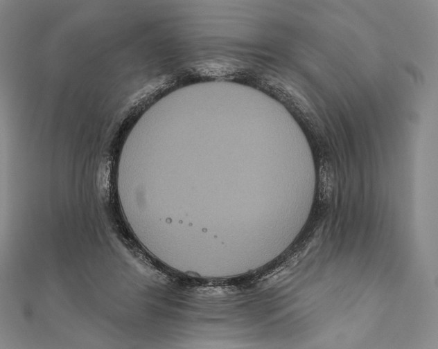 X0000111160404200907281157