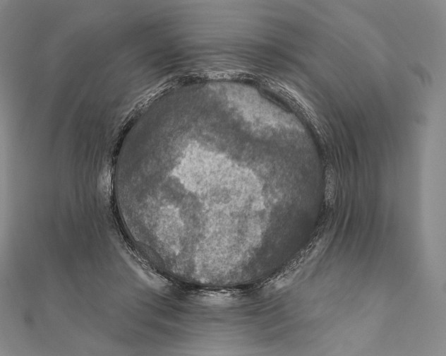 X0000111160405200907281157