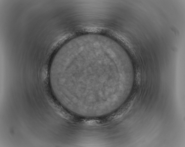 X0000111160407200907281157