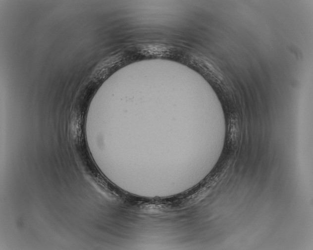 X0000111160408200907281157
