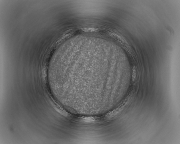 X0000111160409200907281157