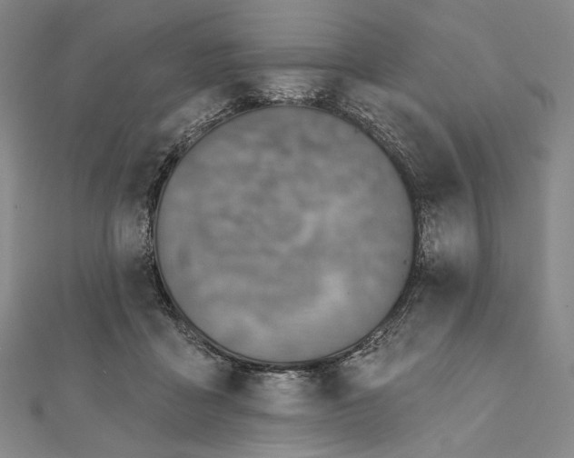 X0000111160411200907281157
