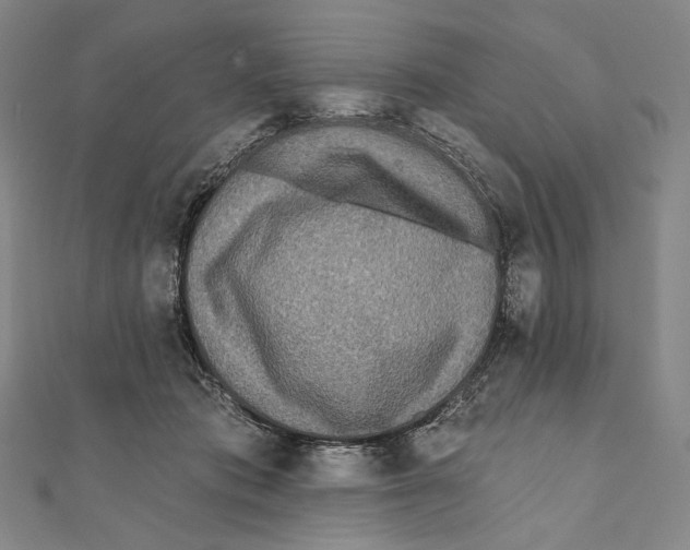 X0000111160413200907281157