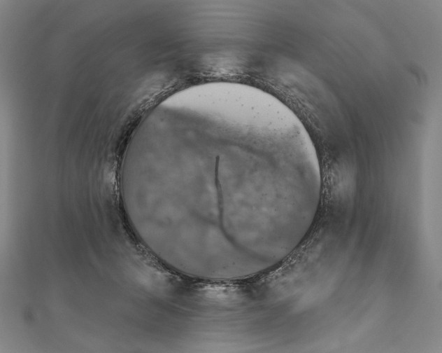 X0000111160415200907281157