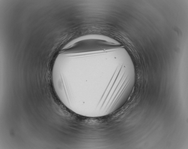 X0000111160419200907281157