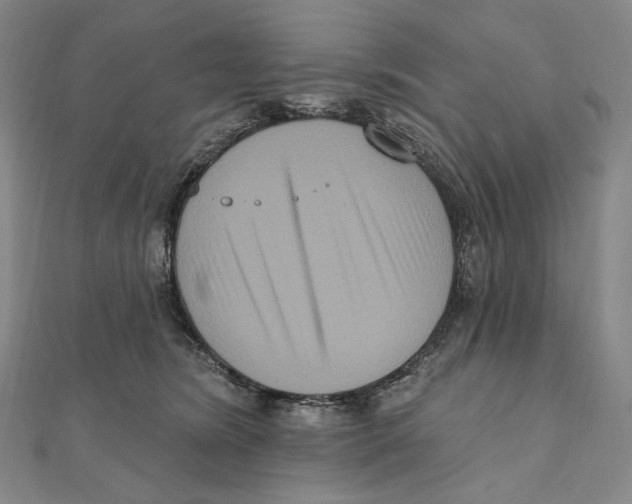 X0000111160420200907281157