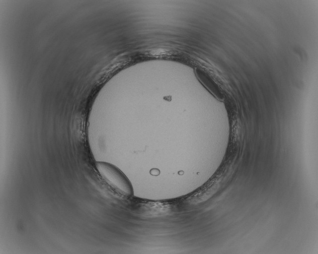 X0000111160421200907281157