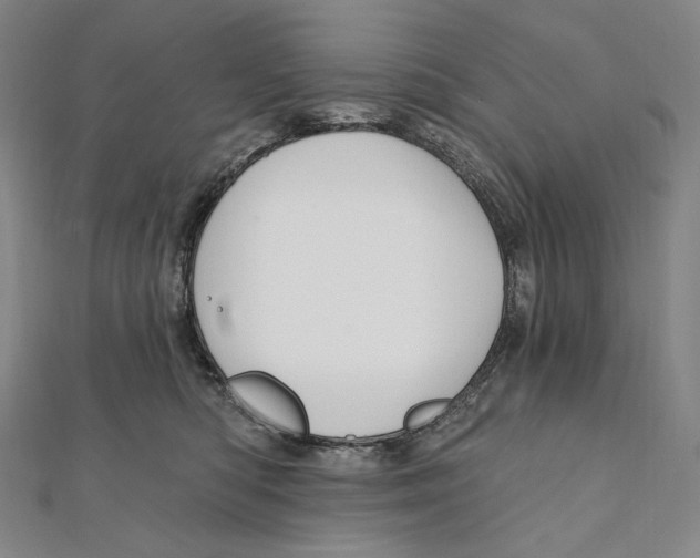 X0000111160422200907281157