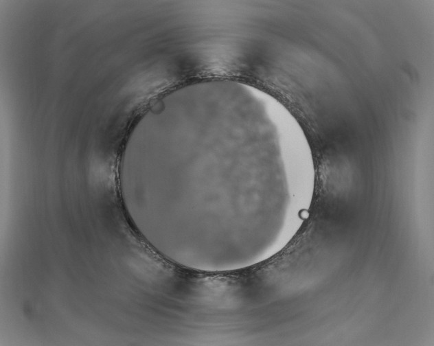 X0000111160423200907281157