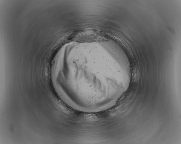 X0000111160424200907281157