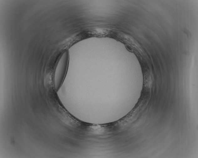 X0000111160425200907281157