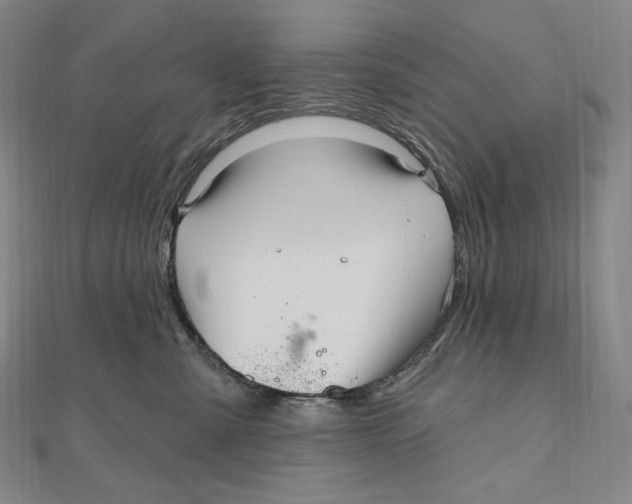 X0000111160427200907281157